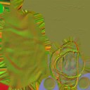c4000_horse_equip_n_l.jpg