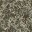 c4040_maggot_a_l.jpg