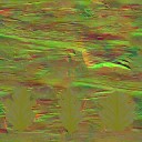 c4120_Ivy_n_l.jpg