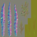 c4150_Seaweed_n_l.jpg