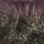c4162_fur_color_a_l.jpg