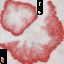 c4166_Mushroom_a_l.jpg