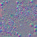c4167_Mushroom2_n_l.jpg