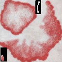 c4167_Mushroom_a_l.jpg
