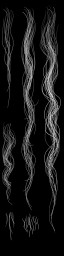 c4270_Hair_a_l.jpg