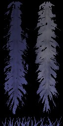 c4352_feather_a_l.jpg