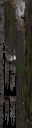 c4383_WP_A_1317_a_l.jpg