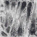 c4503_Freeze2_a_l.jpg