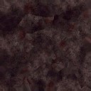c4503_Spike_a_l.jpg