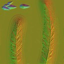 c4505_Feather_1_n_l.jpg