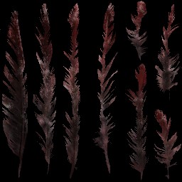 c4561_feather_a_l.jpg
