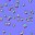c4561_hole_n_l.jpg
