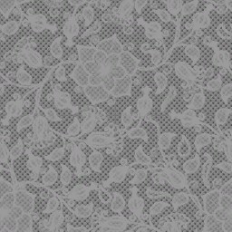 c4570_Robe_Lace_a.jpg
