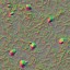 c4570_Skin_T2_n_l.jpg