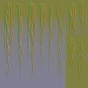 c4620_Hair_n_l.jpg