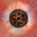c4760_Eye_a_l.jpg