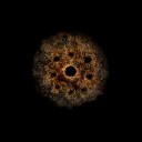 c4760_Eye_em_l.jpg