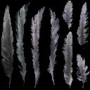 c4800_Feather_a_l.jpg