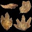 c4810_leaf_a_l.jpg
