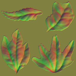 c4810_leaf_n.jpg