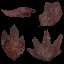 c4811_leaf_a_l.jpg