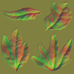c4811_leaf_n.jpg
