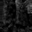 c4820_WP_m_l.jpg