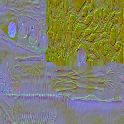 c5060_n_l.jpg