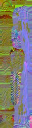 c5080_WP_A_0944_n_l.jpg
