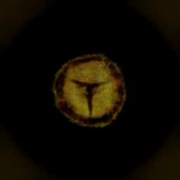 c5131_Eye_em_l.jpg