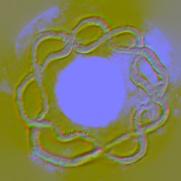 c5131_Eye_n_l.jpg