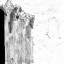c5131_HD_m_l.jpg