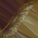 c5190_wing_a_l.jpg