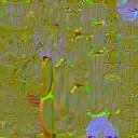 c5193_body_n_l.jpg