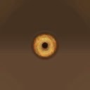c5220_Radahn_eye_a_l.jpg
