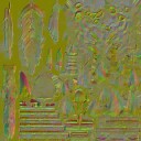 c5250_bird_head_n_l.jpg