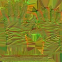c5300_AM_n_l.jpg