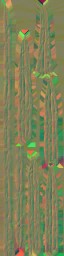 c5310_wepon_n_l.jpg
