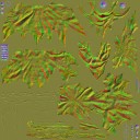 c5360_Shaman_Cloth_n_l.jpg