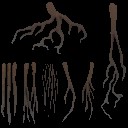 c5391_Hair_Platepoly_a_l.jpg