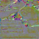 c5391_Metal_n_l.jpg