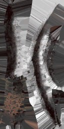c5513_Wepon_a_l.jpg