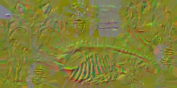 c5520_n_l.jpg