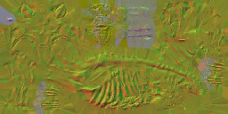 c5521_n_l.jpg