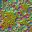 c5526_Tick_n_l.jpg