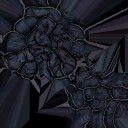 c5590_oil_a_l.jpg