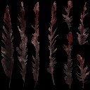 c5591_feather_a_l.jpg