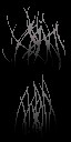 c5710_Fur_a_l.jpg
