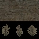 c5710_Ivy_a_l.jpg