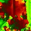 c5761_v_l.jpg